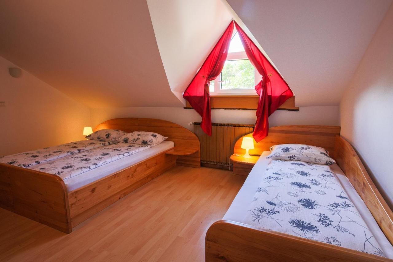 Domacija Malnarjevi Villa Villa Slavina Екстериор снимка
