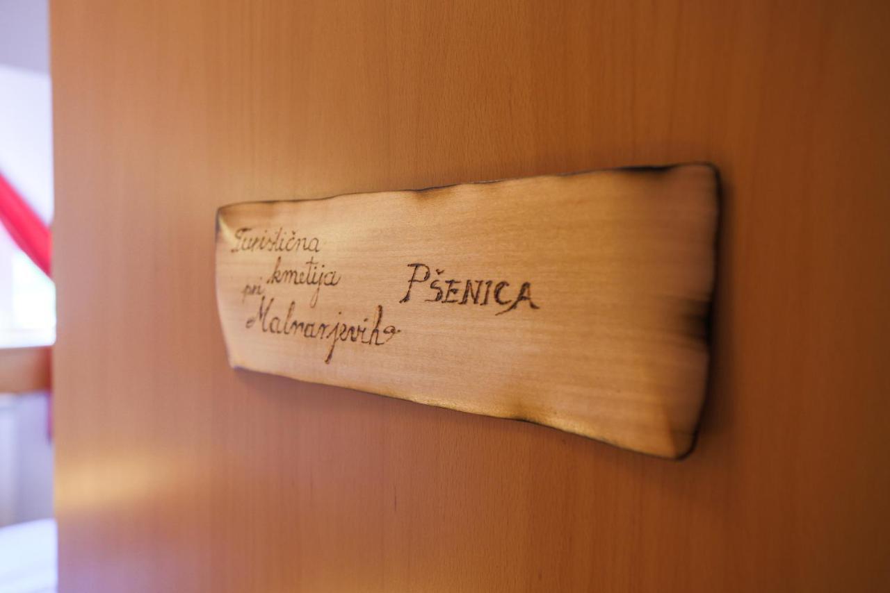 Domacija Malnarjevi Villa Villa Slavina Екстериор снимка