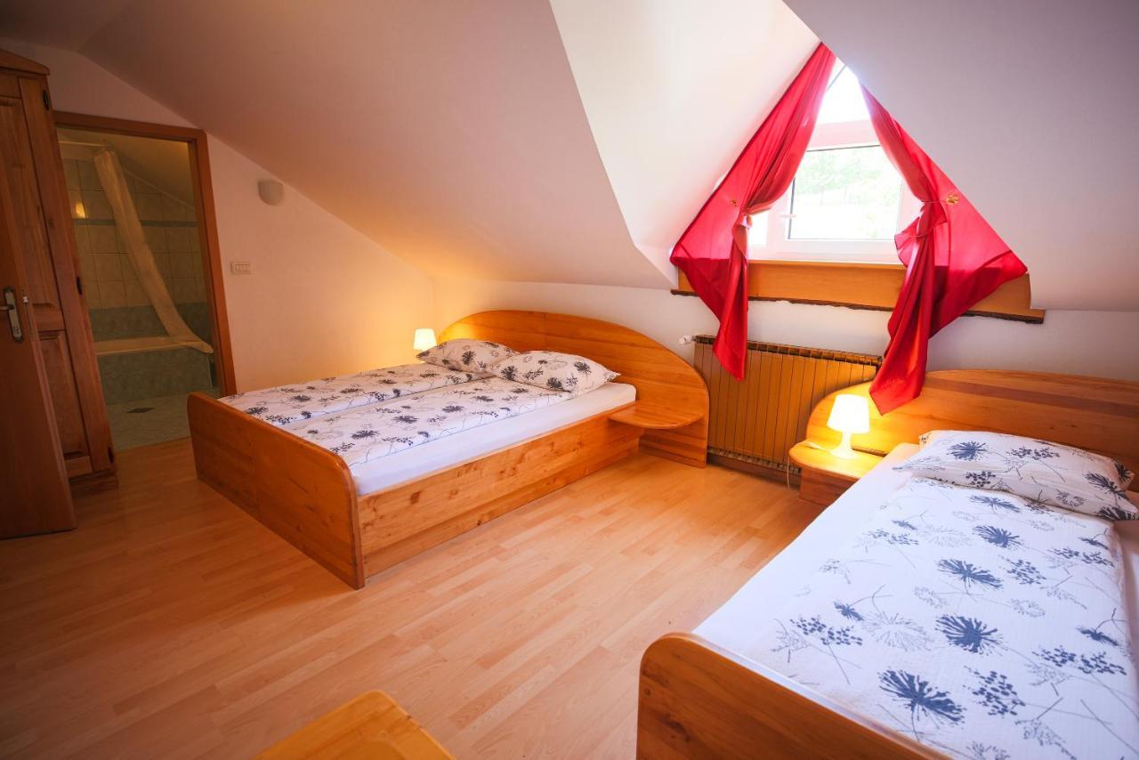 Domacija Malnarjevi Villa Villa Slavina Екстериор снимка