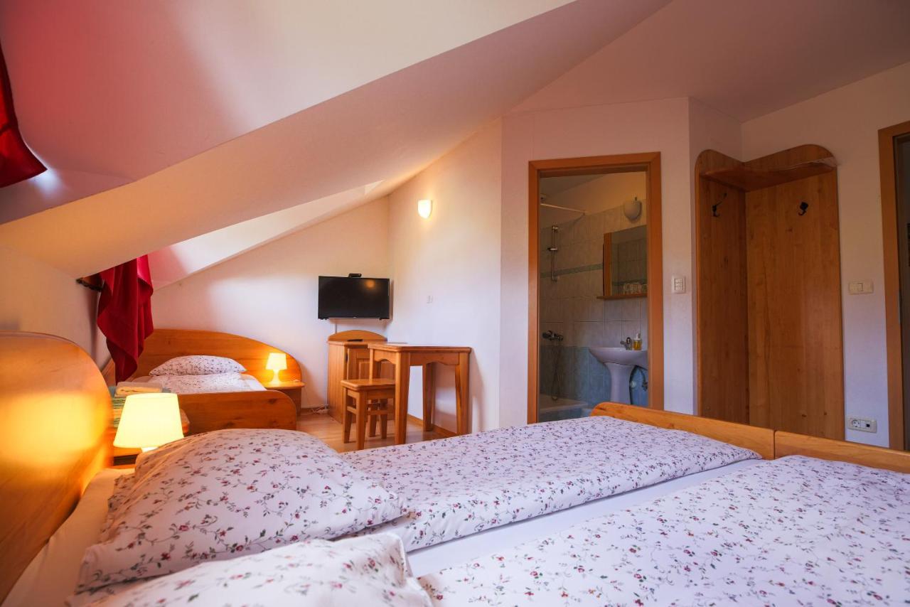 Domacija Malnarjevi Villa Villa Slavina Екстериор снимка